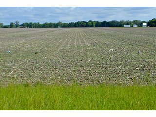 Property photo 37 - FARM & LAND AUCTION - 125+/- ACRES OFFERED IN 5 TRACTS IN EAST ALLEN COUNTY, INDIANA